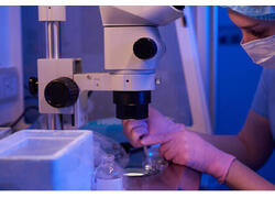 В СПбГУВМ открыта уникальная лаборатория репродуктивных биотехнологий