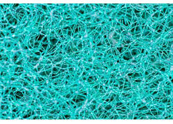 В России разработан искусственный нейрон для восстановления спинного мозга