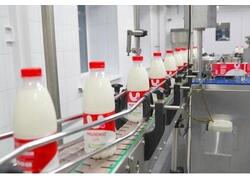 После модернизации запущено производство на заводе «РумелкоАгро-молоко» в Иваново