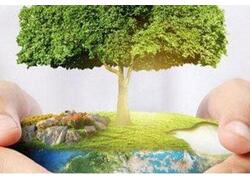 Атмосфера становится чище: выбросы вредных веществ в воздух снизились до пятилетнего минимума