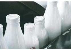 Россия увеличила экспорт молочных продуктов на&nbsp;20%