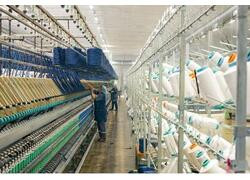 В&nbsp;КЧР открыта первая очередь фабрики по&nbsp;переработке шерсти