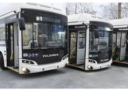 Автобусы «Волгабас» начали курсировать по маршруту Нижнего Тагила.