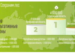 В Саратовской области высадили 4,6 млн деревьев