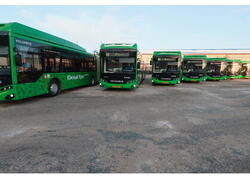 Девять новых автобусов-гармошек вышли на маршрут № 64 в Челябинске