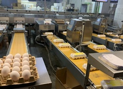 В Вятских Полянах Кировской области открылся новый корпус птицефабрики