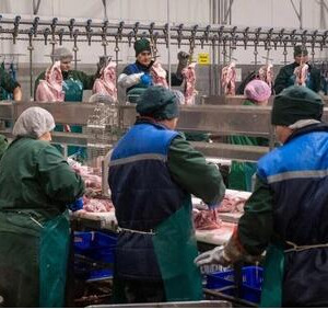 Мелеузовское предприятие увеличивает мощности по&nbsp;производству индейки