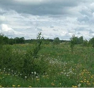 В&nbsp;Вологодской области за&nbsp;год ввели в&nbsp;оборот 10 тысяч гектаров неиспользуемых сельхозземель