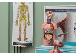 В столице Хакасии открыли новую школу на тысячу мест