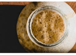 Экспорт российских дрожжей вырос почти на 20% в 2024 году