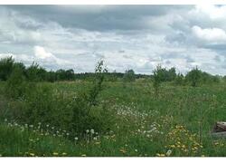 В Вологодской области за год ввели в оборот 10 тысяч гектаров неиспользуемых сельхозземель