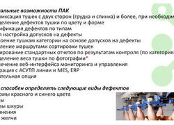 ПАК PINTegrator — Интеллектуальная система контроля качества туш в птицеводстве и животноводстве