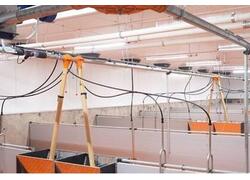 Новый свиноводческий комплекс открылся в Вологодской области