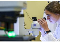 Созданы высокоточные зеркала для синхротронов нового поколения