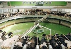 «Эконива» увеличивает производство. Итоги 2024 года