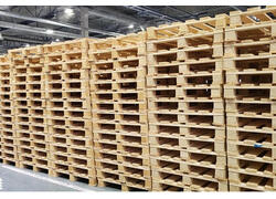 Светогорский ЦБК расширяет производство: запущен выпуск деревянных поддонов