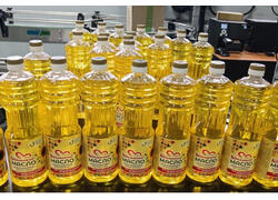 В&nbsp;Оренбургской области запущен новый маслозавод по&nbsp;производству подсолнечного масла