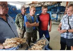 Производство плит ОСП (OSB) стало доступно для российских лесозаготовителей