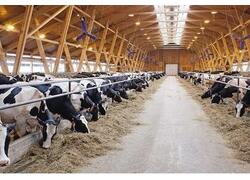 В Саратовской области открылся новый животноводческий комплекс