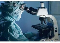 Российская фармкомпания «ПСК Фарма» зарегистрировала новый препарат для лечения фенилкетонурии