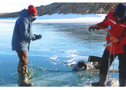 Российские лимнологи исследовали подводные экосистемы 40 озер Антарктиды