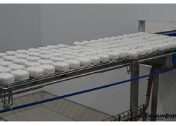 В Башкирии открылось новое производство мягких сыров