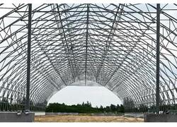 Тюменское предприятие запустило линию по посадке семян хвойных деревьев