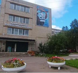 Архангельский водорослевый комбинат на&nbsp;треть увеличил выработку ключевой продукции