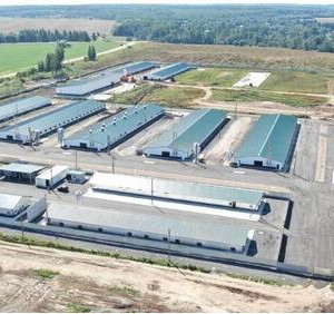 Новый репродуктор для птицеводства открыт в&nbsp;Шаховской Московской области