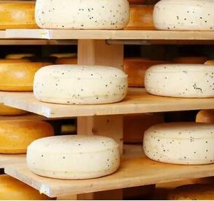В&nbsp;подмосковной Лобне открыто новое предприятие по&nbsp;производству молочной продукции