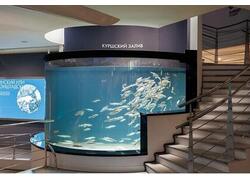 В&nbsp;Калининграде открылся новый корпус Музея Мирового океана &laquo;Планета Океан&raquo;