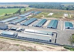 Новый репродуктор для птицеводства открыт в Шаховской Московской области