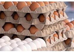 Россия впервые с 1992 года продала куриные яйца США