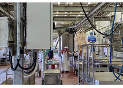 Крупнейший самарский свинокомплекс выстроил полный цикл производства мяса