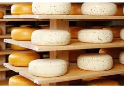 В подмосковной Лобне открыто новое предприятие по производству молочной продукции