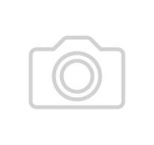 В&nbsp;Ленинградской области ввели в&nbsp;эксплуатацию детсад на&nbsp;220 мест