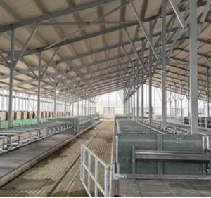 В&nbsp;селе Бабка Пермского края открылась молочная ферма