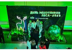 В День работников леса сотрудники Светогорского ЦБК получили награды