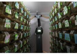 В МГУ открылся центр генетических исследований