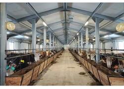 Новый молочный цех и коровник введены в эксплуатацию в Верхоянске