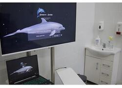 На базе БФУ имени И. Канта открылся уникальный для региона Центр когнитивного здоровья