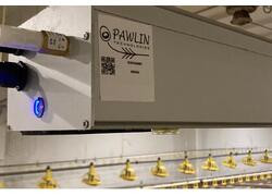 Светлый путь для Искусственного Интеллекта в птицеводстве.