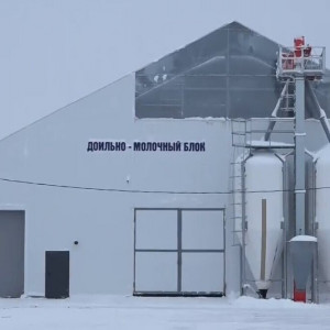 Племзавод &laquo;Урожай&raquo; реализует инвестпроект &laquo;Роботизированный комплекс на&nbsp;1500 дойных коров&raquo;