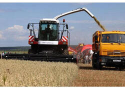 Челябинская область собрала лучший за&nbsp;33 года урожай зерна