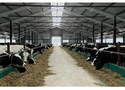 В селе Тырыш РТ в отделении общества «Вахитово» открылась новая ферма