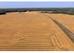 Иркутская и Тюменская области добились рекордного урожая в 2025 году