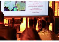 На&nbsp;Чукотке открылась новая теплица комплекса &laquo;Живая зелень&raquo;