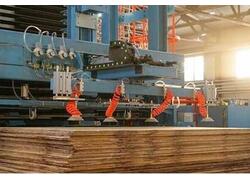 В&nbsp;Коми запущено новое фанерное производство