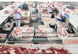 Экспорт мяса и&nbsp;мясопродуктов увеличился на&nbsp;10,6% в&nbsp;2025 году