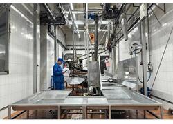 ГК &laquo;ОренКлип&raquo; произвела первую отечественную линию убоя свиней мощностью 240 голов в&nbsp;час